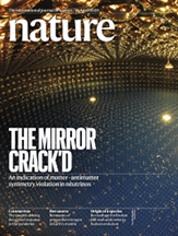 Nature : The Mirror Crack'd
